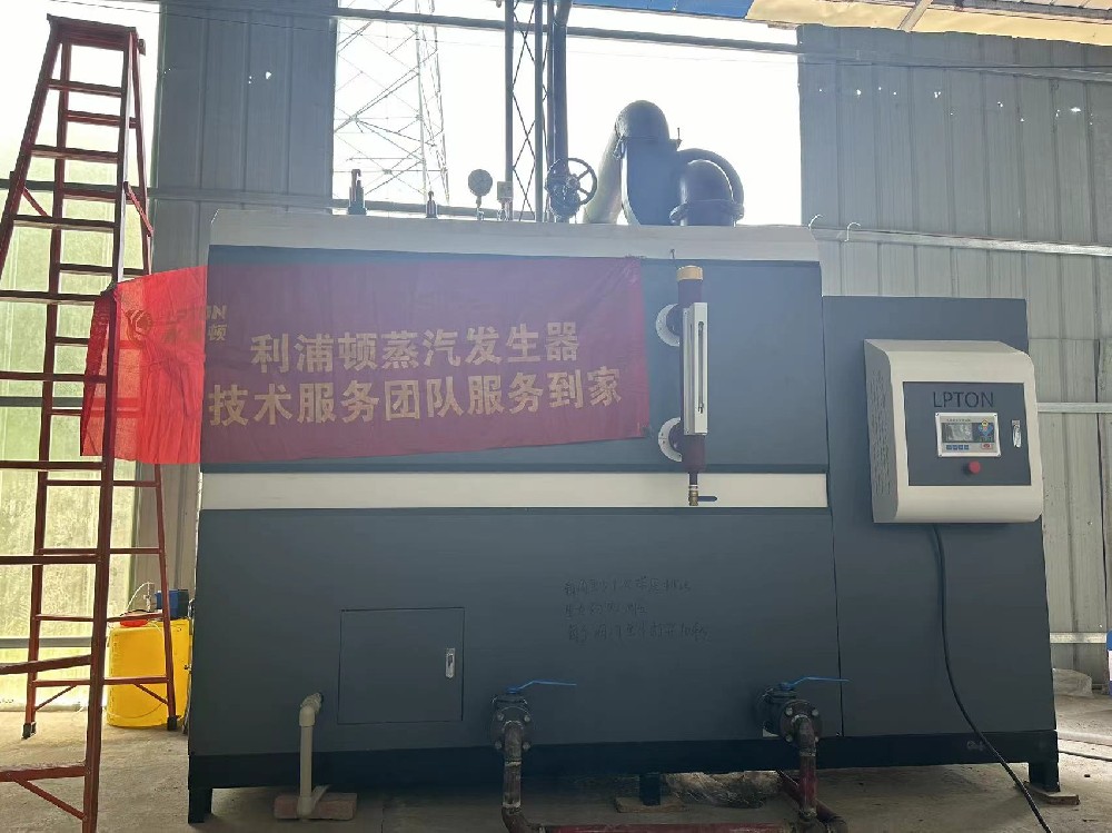 洗滌行業(yè)專用利浦頓1噸生物質(zhì)蒸汽發(fā)生器