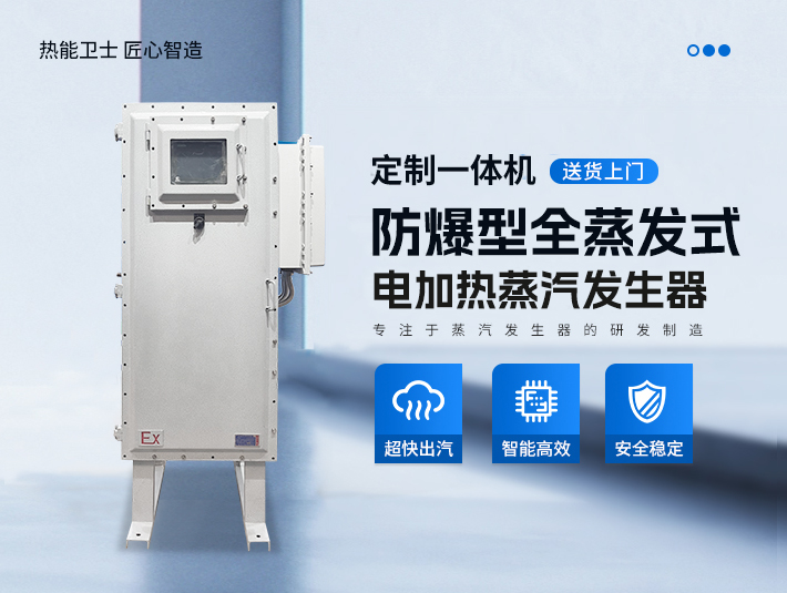 定制一體防爆全蒸發(fā)式電加熱蒸汽發(fā)生器